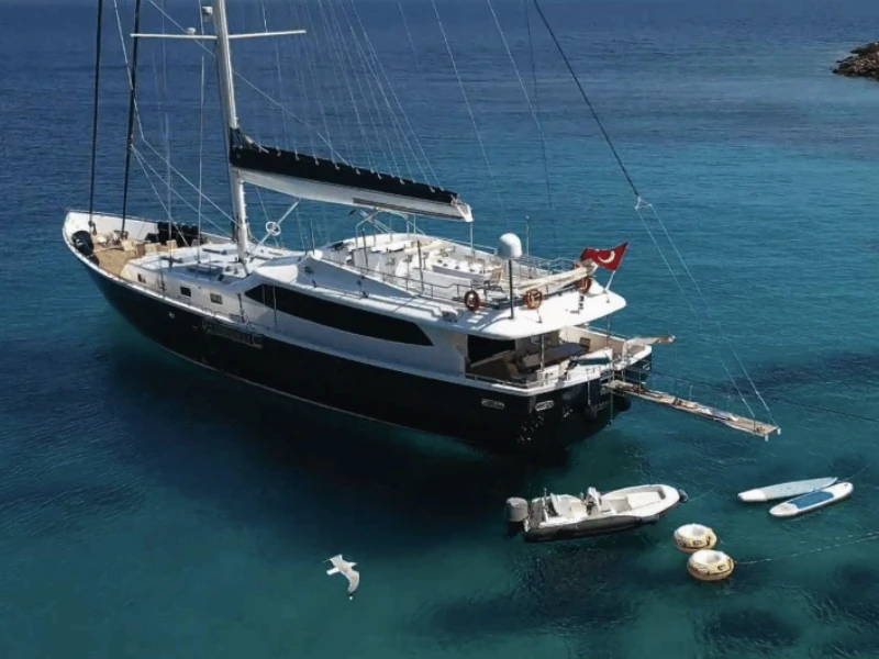 M/S Canaria
