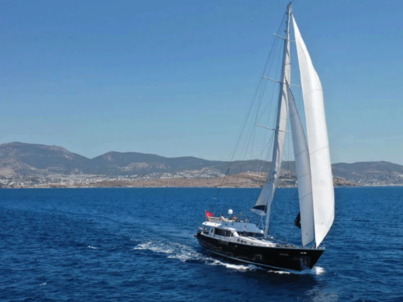 M/S Canaria
