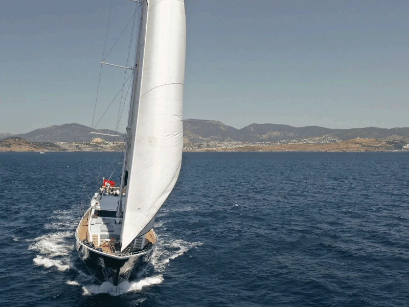 M/S Canaria