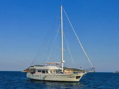 M/S Freedom