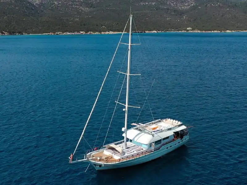 M/S Freedom