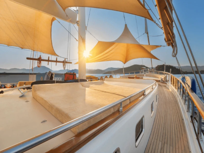 M/S Namaste