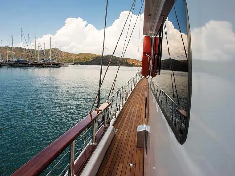 M/S Queen of RTT