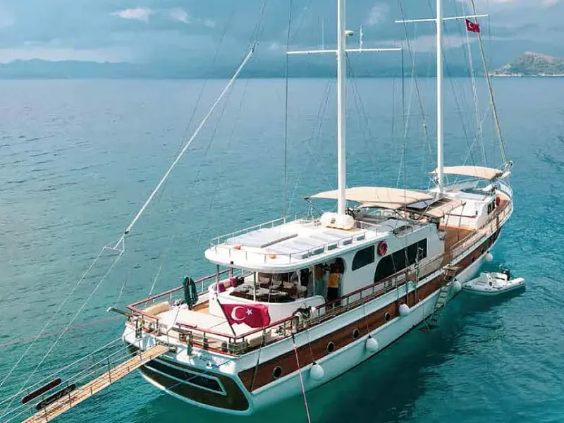 M/S Queen of RTT