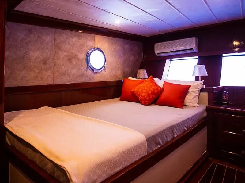 M/S Queen of RTT