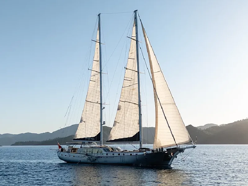M/S Silver Moon