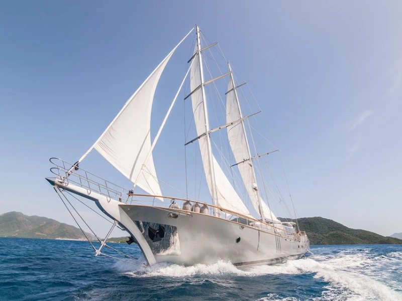 M/S Silver Moon