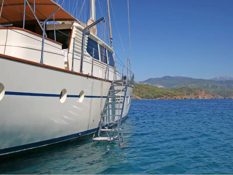 M/S Tango Charlie